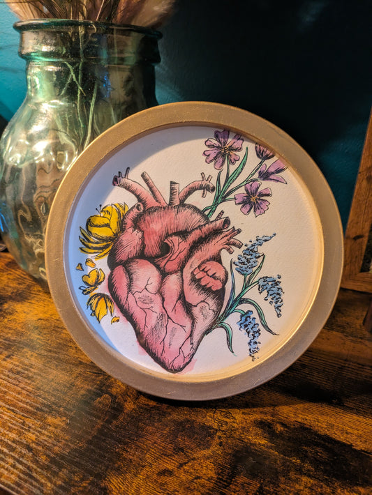 Anatomical heart