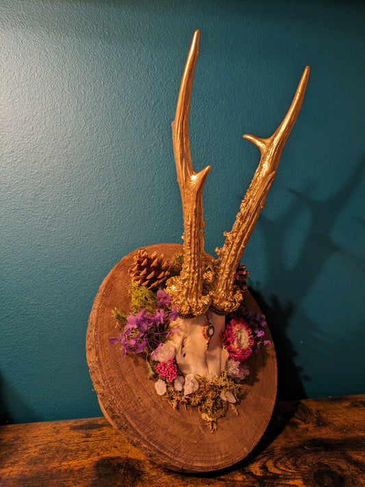 Deer Antler wall plaque