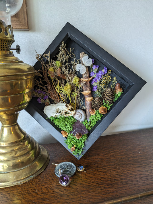 Box framed mink skull flora scene