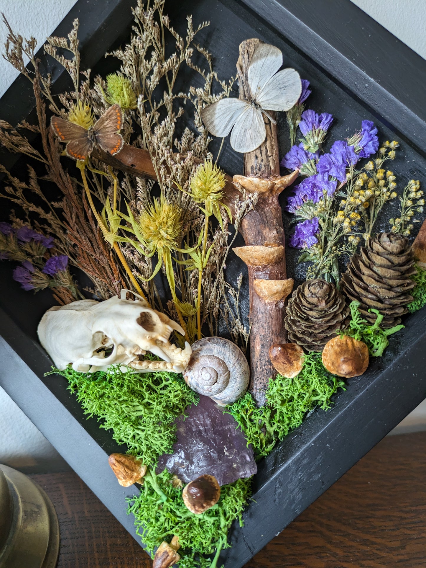 Box framed mink skull flora scene