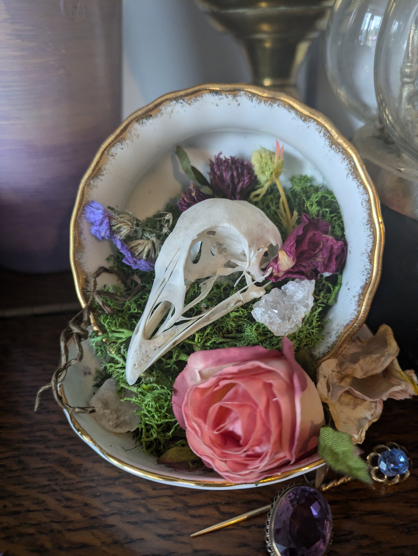 Pheasant in a tea cup